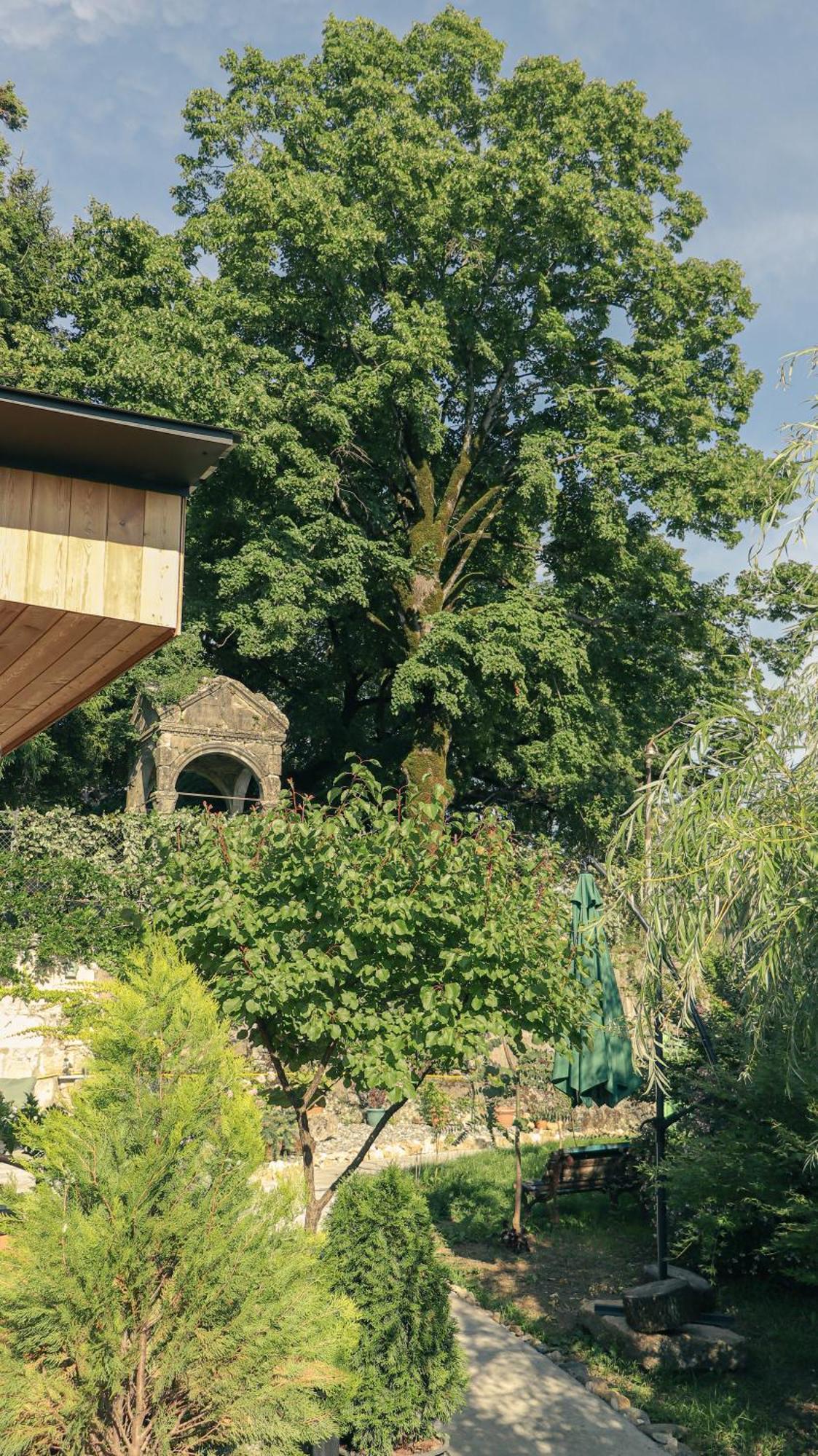 Garden Rooms In Kutaisi Exterior foto